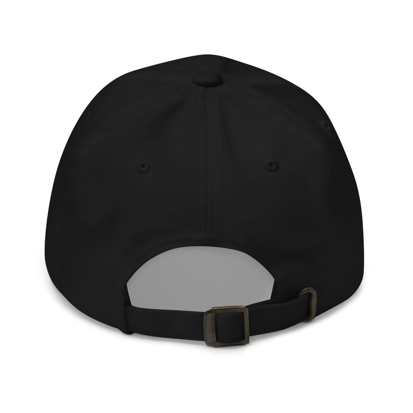 Plasma Turtle Dad Hat