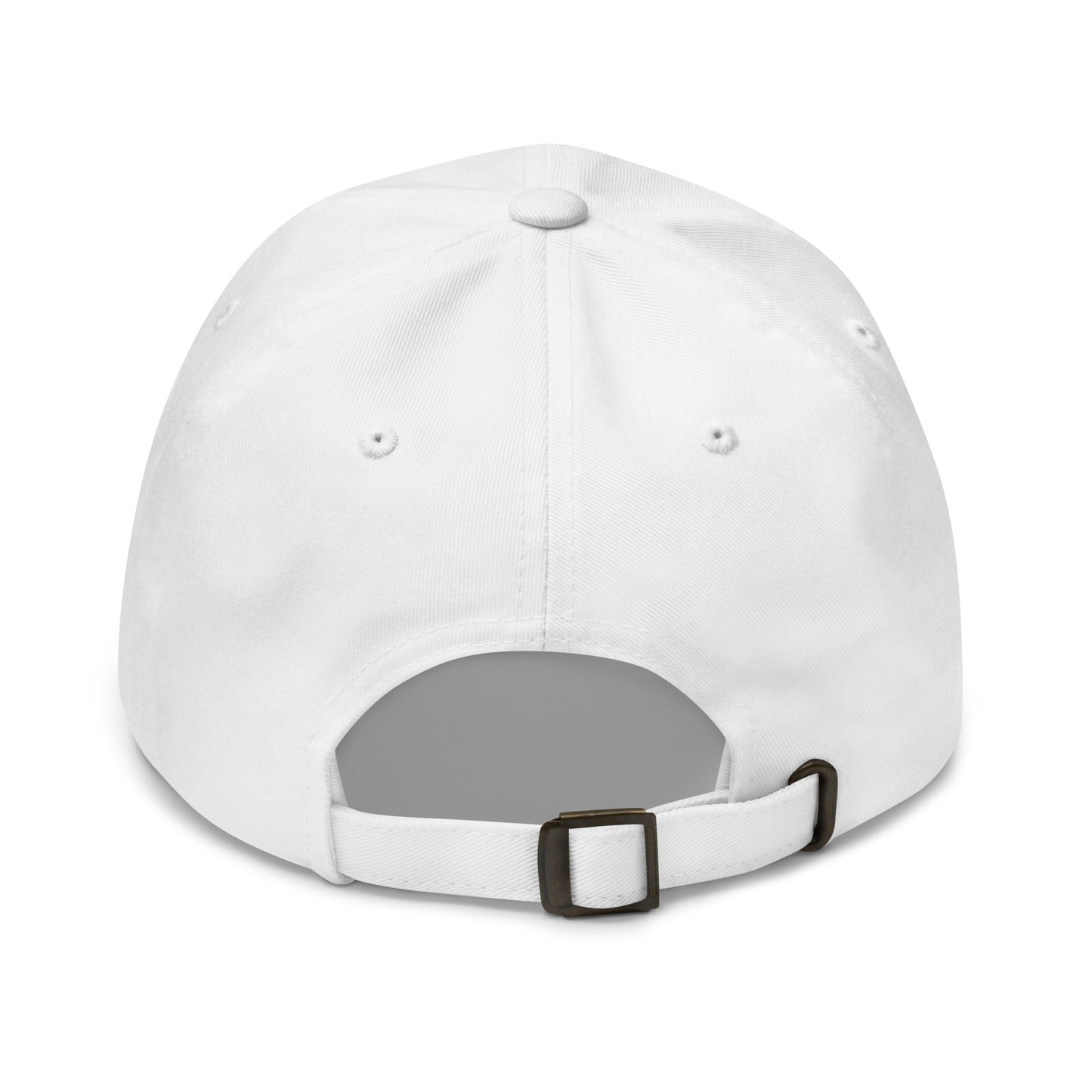 Plasma Turtle Dad Hat